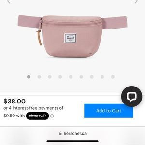 Herschel Supply Company waist/crossbody bag.  NWT never been worn!!!